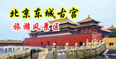 操大屁股美女骚逼逼中国北京-东城古宫旅游风景区